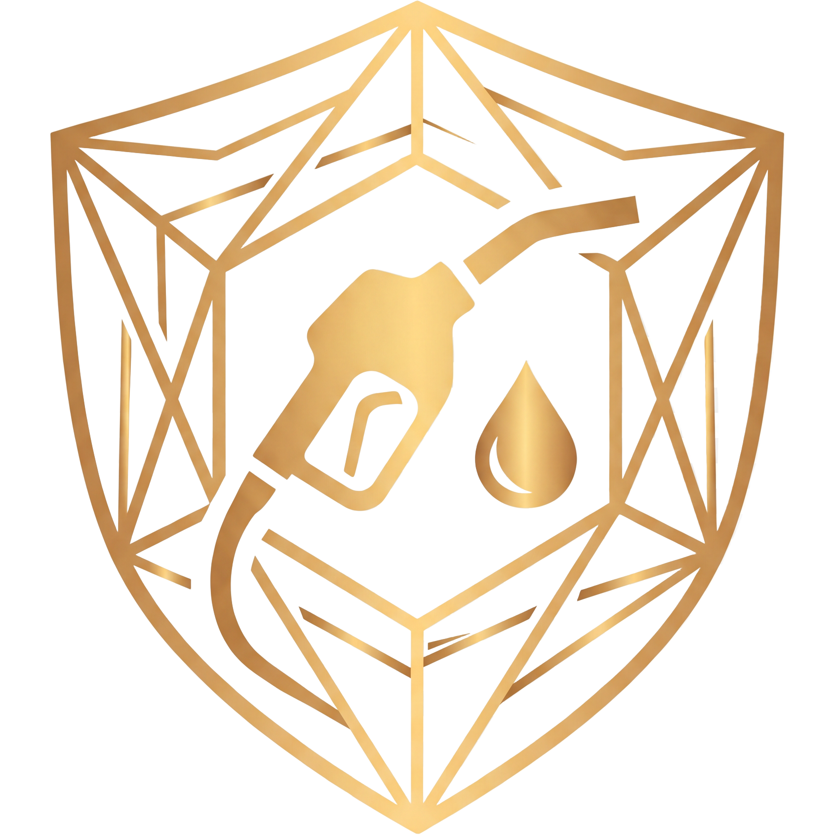 Logo Raio-X do Posto